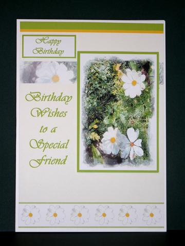 Daisies for a Special Friend - A5 by Lynn Butters