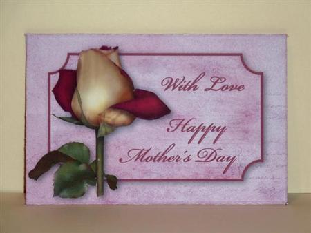 Mother's Day Treat - Money/gift Wallet by Lynn Butters