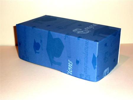 Graduation Teddy (blue Backing) by Lynn Butters