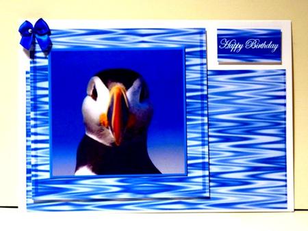 Puffin by Lynn Butters