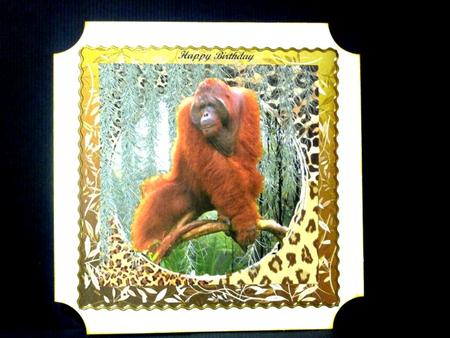 George 8x8 Topper by Lynn Butters