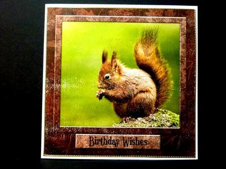 Red Squirrel on Leafy Brown 8x8 Inch Topper by Lynn Butters