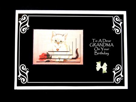 Kitten & Rose - Grandma by Lynn Butters
