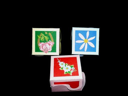 Scallop Boxes by Lynn Butters