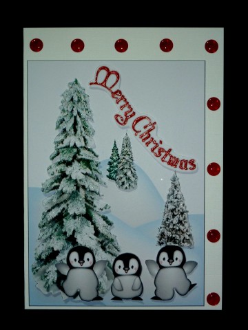 Penquins in the Snow by Lynn Butters