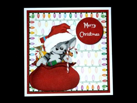Cute Christmas Kitten by Lynn Butters