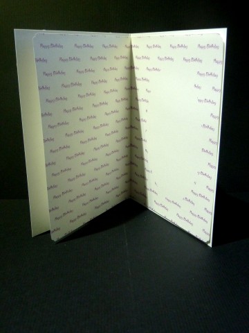 Happy Birthday Pink Insert by Lynn Butters