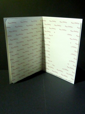 Happy Birthday Red Insert by Lynn Butters