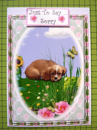 Sorry I Missed Your Birthday by Lynn Butters