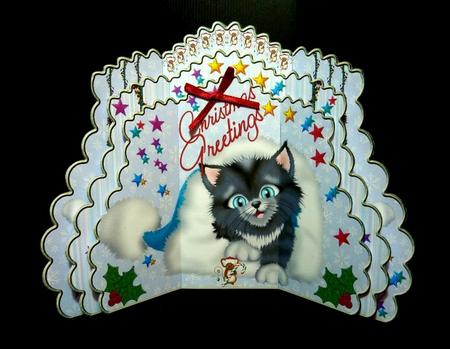Triple Layer Gatefold - Cat and Mouse by Lynn Butters