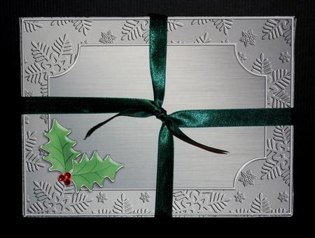 3D Xmas Holly Dvd or Console Game Gift Box Mini Kit by Lynn Butters