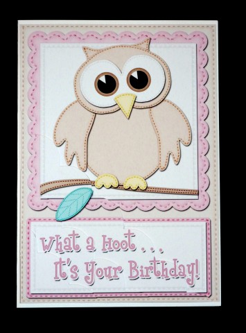 A5 What a Hoot Owl Birthday Scallop Corner Side Stacker by Lynn Butters