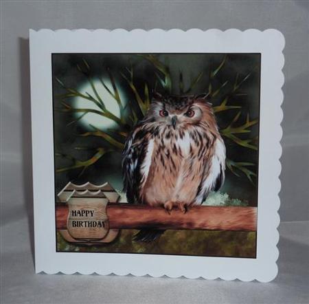 Wise Owl Birthday/other Occasion Male Card by Lynn Butters