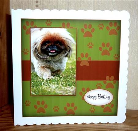 Pekingnese Paws by Lynn Butters