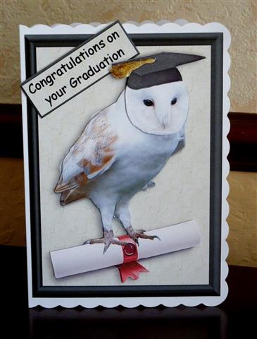 Barn Owl Congratulations 3D Decoupage by Lynn Butters
