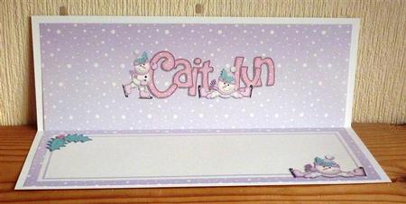 Xmas Caitlyn Matching Large Dl Insert by Lynn Butters