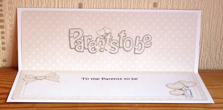Parents to Be Baby Matching Large Dl Insert by Lynn Butters