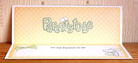 Parents to Be Baby Matching Large Dl Insert by Lynn Butters