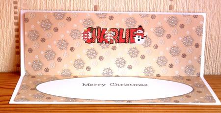 Cute Snowman Charlie Large Dl Insert by Lynn Butters