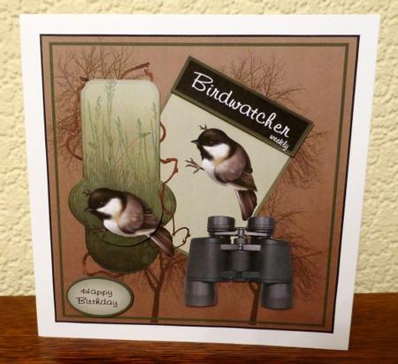 Birdwatcher Weekly by Lynn Butters