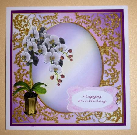 Birthday Orchids by Lynn Butters