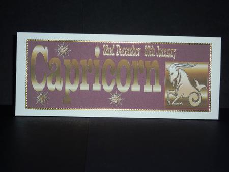Horoscope Capricorn Large dl Topper by Lynn Butters