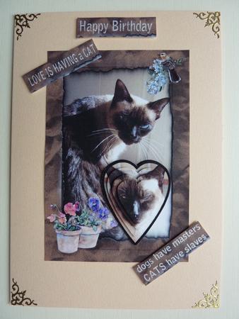 Love is Having a Cat by Lynn Butters