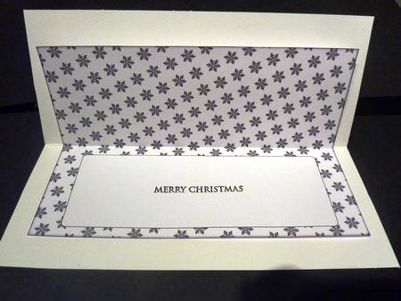 Christmas Snowflakes Insert for Large Dl 2 by Lynn Butters