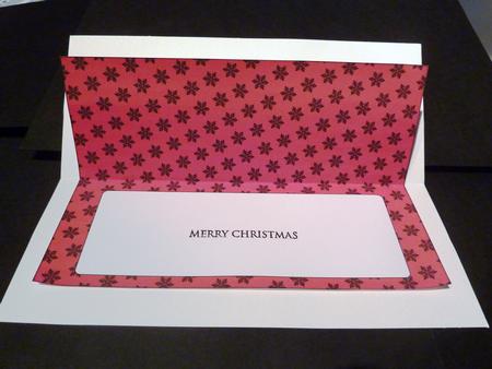 Christmas Snowflakes Insert for Large Dl 7 by Lynn Butters