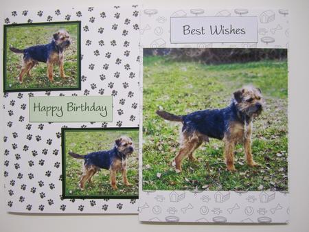 Border Terrier Card Fronts Sh0075 by Lynn Keeton