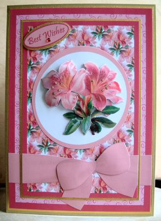 Floral Delight by Lynn MacAlister