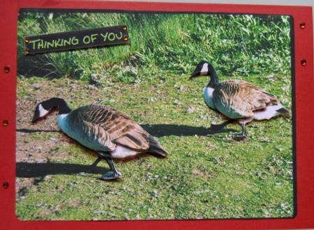 Canada Geese Decoupage by Lynn Mason