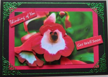 Pink Flowers Decoupage by Lynn Mason