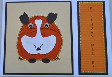 Guinea Pig by Lynn Mason