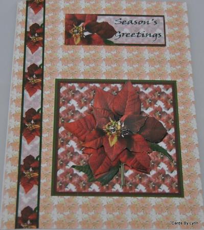 Poinsettia, Backing by Lynn Mason