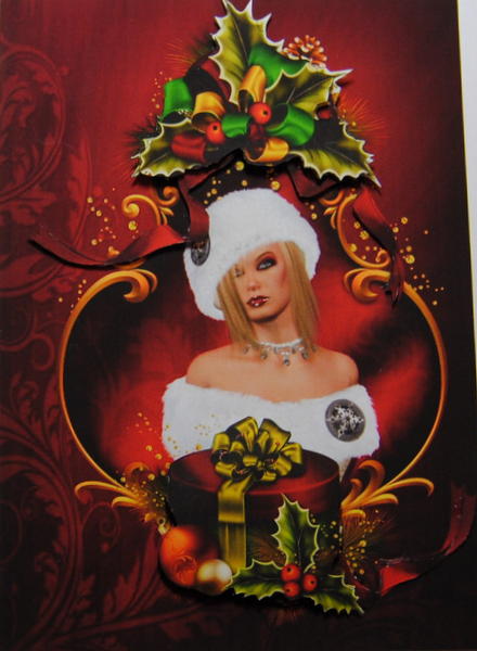 A Christmas Portrait by Lynn Mason