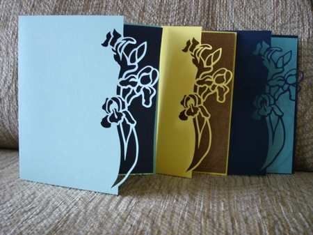 Iris - Over The Edge Flowers by Lynne Brown