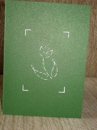 Tulip Flowerpot Pop Up Card by Lynne Brown