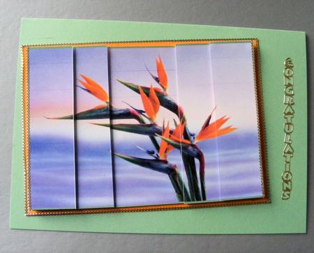 Stunning Hawaiian Bird of Paradise Flowers Side Stacker by Lynne Faulkner