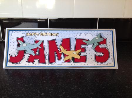 Planes James Large Dl by Lynne Needham