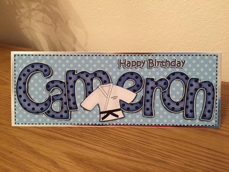 Large Dl Birthday Cameron Karate Card & 3D Decoupage by Lynne Needham