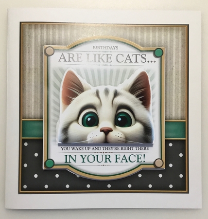 Have A Purrfect Birthday by Lynne Todd