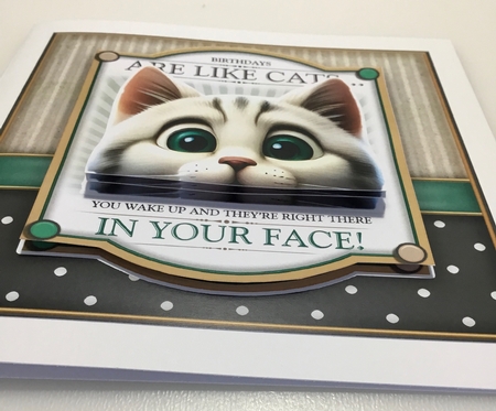 Have A Purrfect Birthday by Lynne Todd