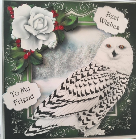 Snowy Owl by Lystra Jordan