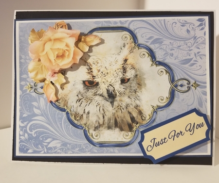 Wise Owl 1 by Lystra Jordan