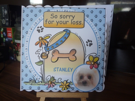 Special dog condolences boy by Maida Blades