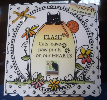 Special cat condolences  by Maida Blades