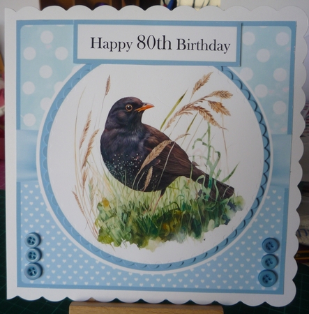 Garden Birds Massive Bumper Collection (7x7 inch square card kits) by Maida Blades