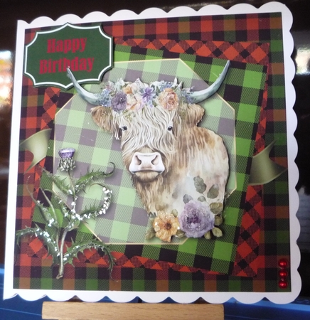 Lang may yer  lum reek! - Unisex card by Maida Blades