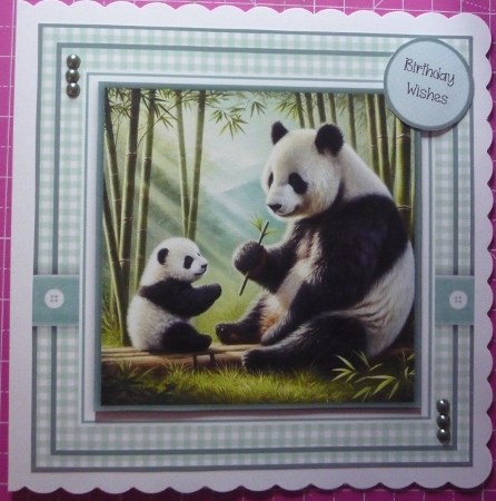 Pandas in the Wild by Maida Blades